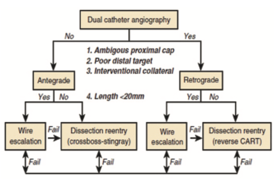 A Primer on Chronic Total Occlusion (CTO) Percutaneous Coronary